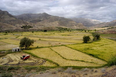 ۶۱ درصد اراضی کشاورزی استان مرکزی سنددار شده‌اند