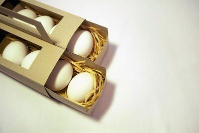صادرات تخم مرغ به ۵۰ هزارتُن رسید