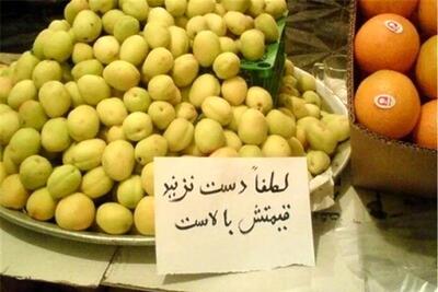 قیمت چهارکیلو میوه بیشتر از دستمزد ۲.۵ روزِ کارگران؛سبدِ بابا «میوه» ندارد!