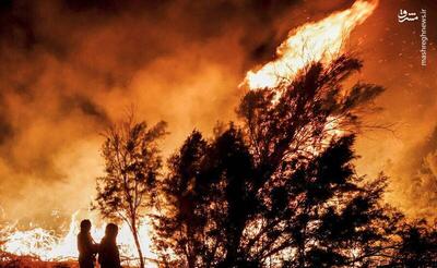 عکس/ آتش‌سوزی پارک ملی کرخه