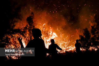 آتش‌سوزی پارک ملی کرخه