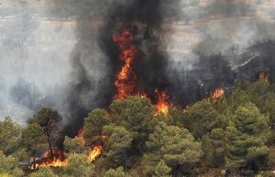 افزایش ۲۵۶ درصدی سطح آتش‌سوزی‌های منابع طبیعی در سال جاری