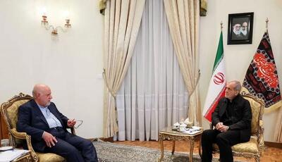 وزیر اسبق نفت با رئیس جمهور منتخب دیدار کرد