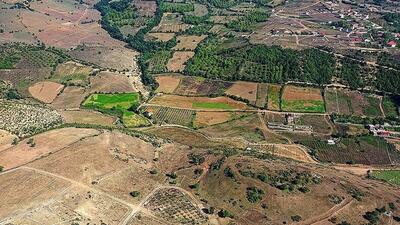 رفع تداخل بیش از ۱۶ هزار هکتار از اراضی کشاورزی استان قزوین