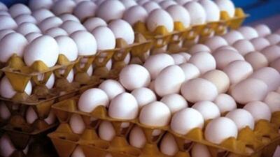 صادرات تخم مرغ به ۵۰ هزارتُن رسید
