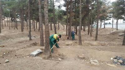 لزوم پیگیری آبیاری بوستان‌های جنگلی تهران و اهمال‌ها در خشک شدن درختان