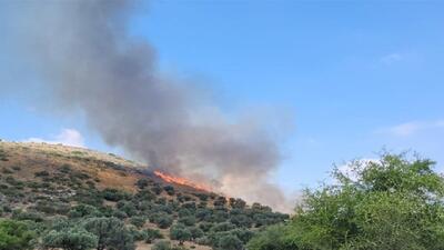 مهار آتش‌سوزی گسترده در پارک ملی کرخه