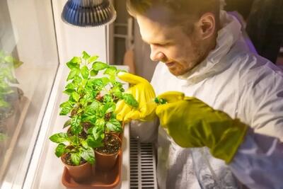 روشهای استفاده از نور مصنوعی برای گیاهان