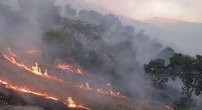 درخواست بالگرد آب پاش برای مهار آتش در منطقه خائیز