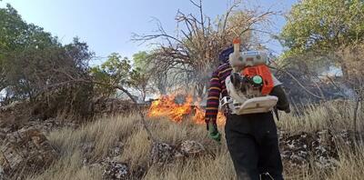 پس از ۲ روز هنوز جنگل‌های خاییز کهگیلویه در آتش می‌سوزد / احتمال زنده سوختن برخی از گونه های جانوری