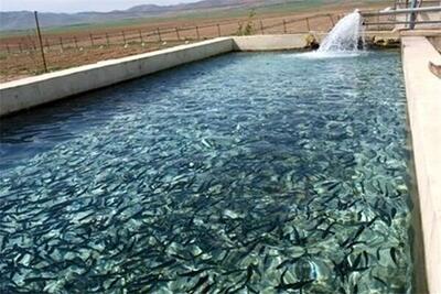این کویر ایرانی قطب تکثیر و پرورش ماهی می‌شود