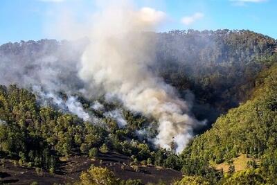 هوای مازندران گرم‌تر می‌شود / آتش‌سوزی در کمین جنگل‌های هیرکانی