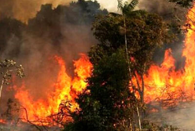 جنگل‌های خاییز کهگیلویه در محاصره آتش/نیاز به اعزام فوری بالگرد آبپاش+فیلم