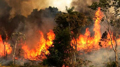 زبانه کشیدن آتش در منطقه حفاظت شده خاییز کهگیلویه