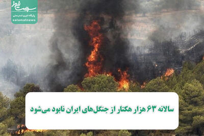 سالانه ۶۳ هزار هکتار از جنگل‌های ایران نابود می‌شود
