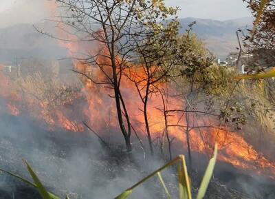 آتش سوزی گسترده در منطقه حفاظت شده «خاییز» کهگیلویه| نیاز فوری برای کمک