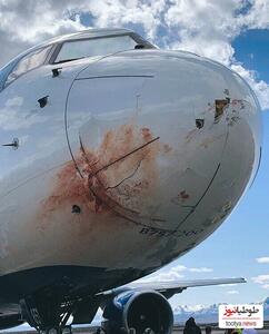(ویدئو) برخورد وحشتناک یه پرنده به هواپیما و چهره غرق در خون خلبان!