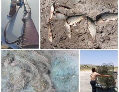 کشف سلاح و لاشه شکار غیر مجاز در شهرستان شیراز