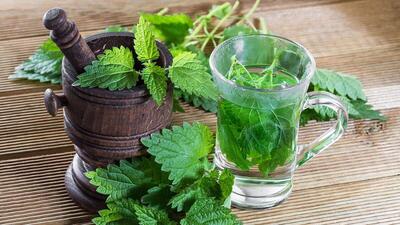 گیاه خوش‌عطری که آلزایمر را درمان می‌کند