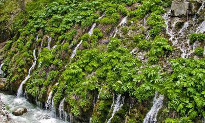 دیدنی های آبشار هفت چشمه با طبیعت بکر