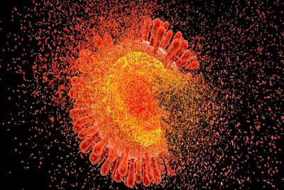 کشف اثربخشی ۱۰۰ درصدی یک دارو در پیشگیری از اچ‌آی‌وی