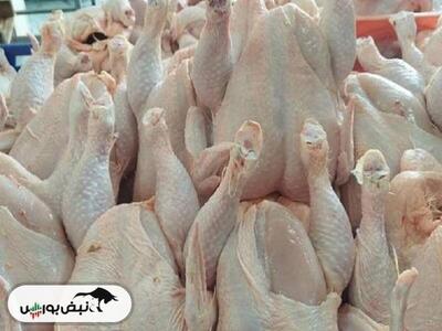 قیمت روز گوشت مرغ ۱۴۰۳/۰۴/۲۱
