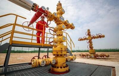 امارات: ۴ شرکت بین المللی در پروژه گاز رویس سرمایه‌گذاری کردند