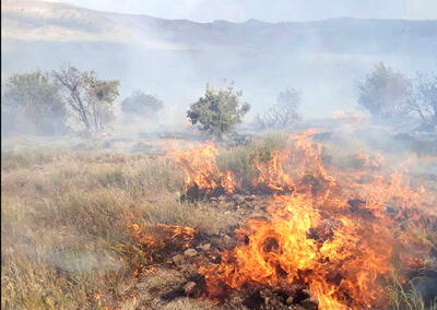 آتش‌سوزی گسترده در جنگل‌های خاییز کهگیلویه