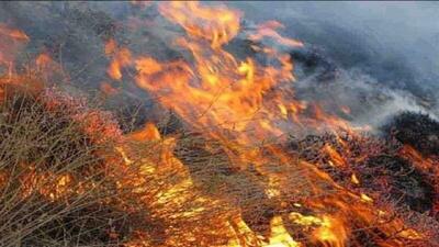 مهار آتش در مراتع شهرستان کیار