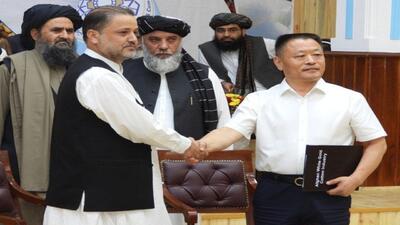 صادرات پنبه افغانستان به چین