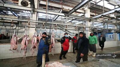 ۳۱۰ تن گوشت از چرخه ورود به بازار در آذربایجان‌غربی حذف شد