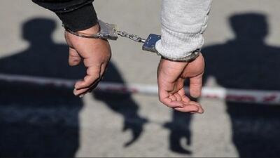 دستگیری ۲ سارق و یک مالخر در طبس
