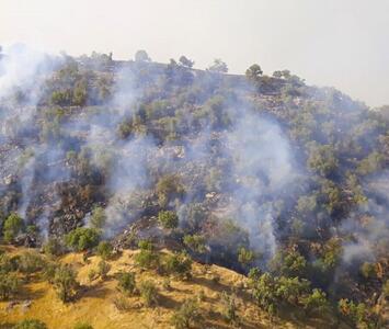 مهار آتش سوزی کسترده منطقه حفاظت شده خائیز شهرستان کهگیلویه