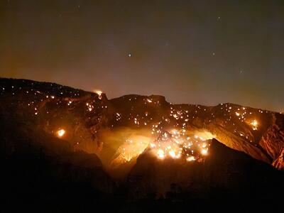 ۵۰ درصد جنگل‌های خائیز زاگرس در آتش سوخت | اقتصاد24