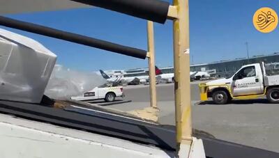 (ویدئو) رها شدن ده‌ها مارماهی در فرودگاه بین‌المللی ونکوور