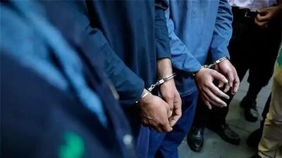 دستگیری سارقان سندنمره کار و کشف 15 دستگاه خودرو در ایلام