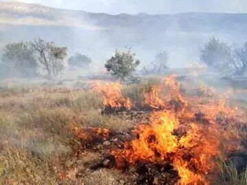 تشریح جزییات اطفاء حریق در منطقه حفاظت شده خاییز/ آتش مهار شد
