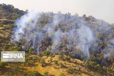 آتش‌سوزی منطقه حفاظت شده خاییز بهبهان مهار شد