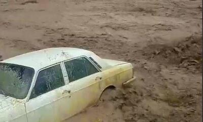 فیلم/جاری شدن سیلاب در روستاهای خراسان شمالی
