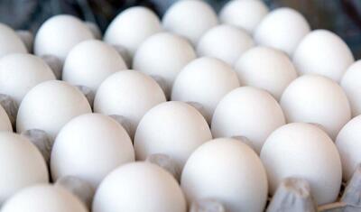 تولید تخم مرغ در تیرماه به ۱۰۷ هزار تن می‌رسد