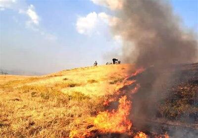 شناسایی 58 عامل آتش‌سوزی در مزارع کوهدشت - تسنیم