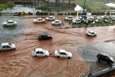 بارش باران و وزش شدید باد در مشهد / طوفان به خراسان رضوی بازگشت