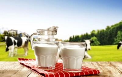 شیر گیاهی به‌جای شیر گاو ؛ بخوریم یا نه؟