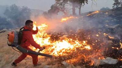 ۶۶۰ هزار هکتار از مناطق کهگیلویه و بویراحمد بحرانی هستند/ تشکیل ۸ پرونده قضایی در رابطه با آتش سوزی مزارع