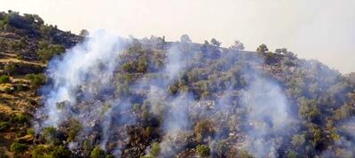 مهار کامل آتش سوزی جنگل های خائیز کهگیلویه و بویراحمد/460 هکتار جنگل دچار حریق شد
