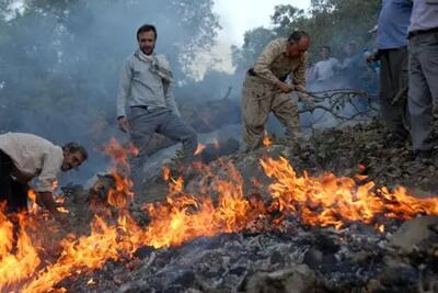 ۴۶۰ هکتار از جنگل‌ها در حریق خائیز خسارت دید/آتش زدن کاه و کُلَش عامل اصلی آتش‌سوزی