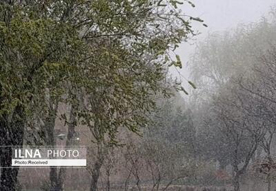 پیش بینی رگبار پراکنده باران در ارتفاعات تهران