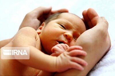 ۴۳ نوزاد در اسفراین خراسان‌شمالی از سقط نجات یافتند