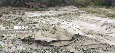 بارش‌های سیلابی ۲۰۰ هزار میلیارد ریال به کشاورزی خراسان‌رضوی خسارت زد