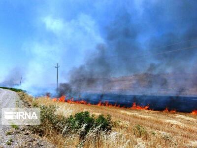 مهار ۶۱ هکتار آتش‌سوزی‌ مزارع کشاورزی گلستان توسط منابع طبیعی